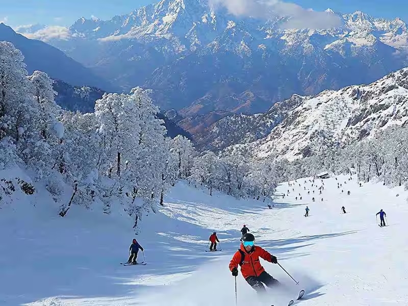 Auli Snow Adventure